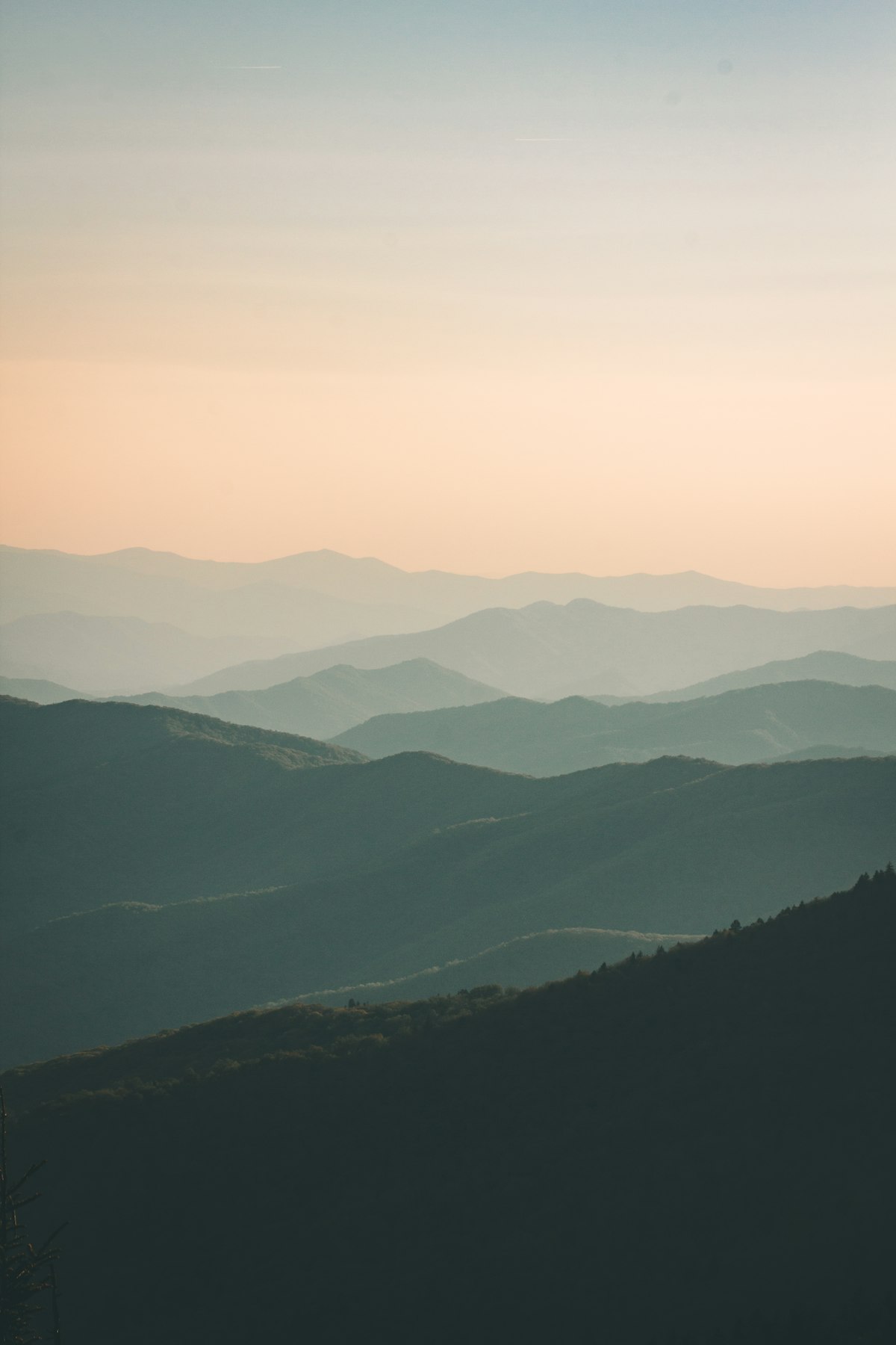 Newsletter landscape